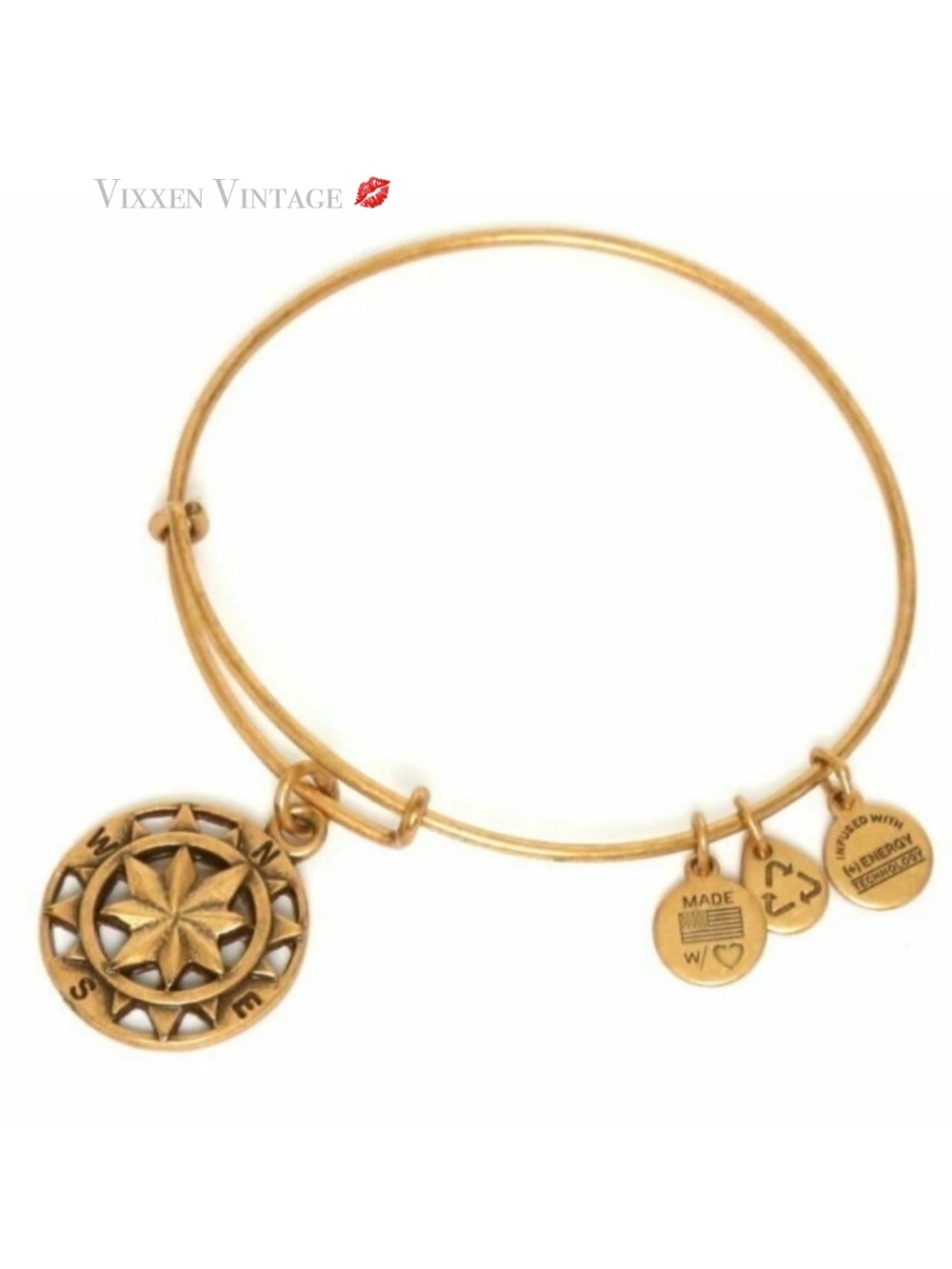 ALEX & ANI 'COMPASS CHARM BANGLE BRACELET' IN RAFAELIAN GOLD FINISH